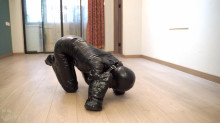 ガムテープをミイラ人型犬
